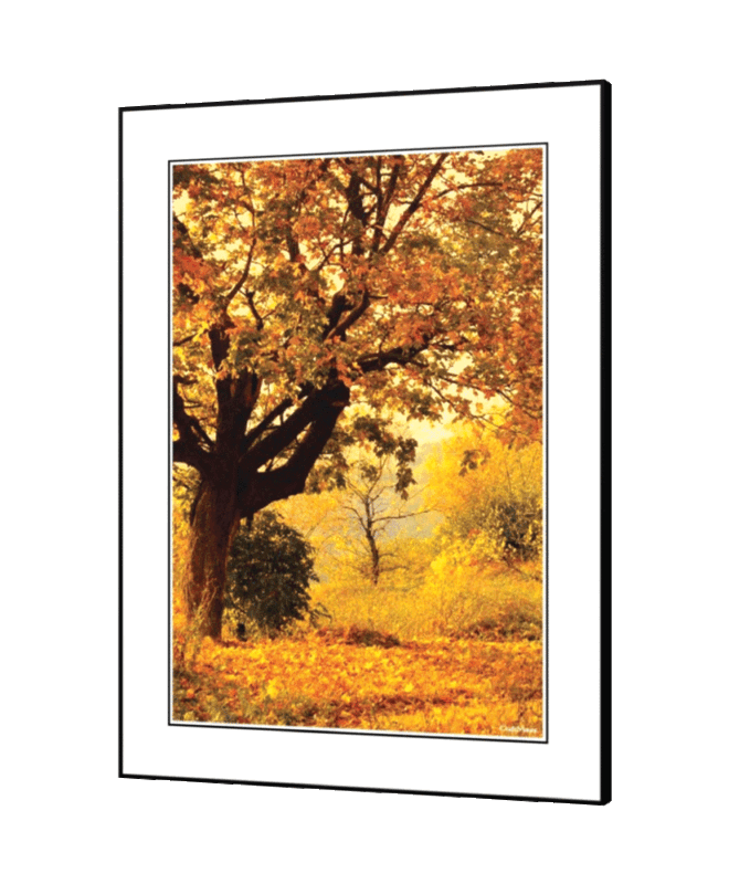 [Autumn] - Inspirational Wall Decor Item