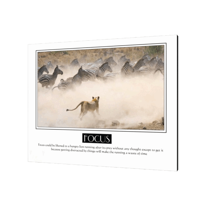 [FOCUS 1] Inspirational Wall Decor Item - Image 2