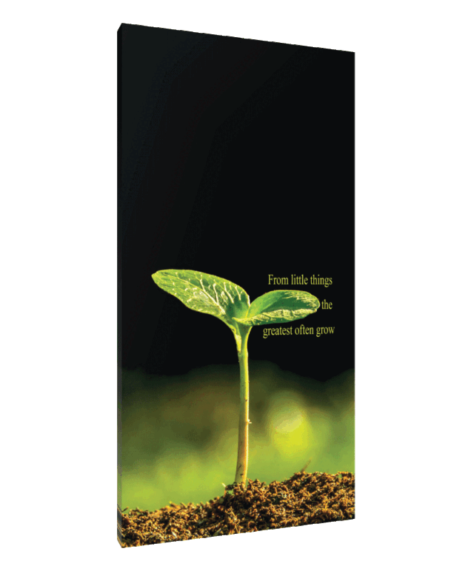 Little Things - Inspirational Wall Decor Item