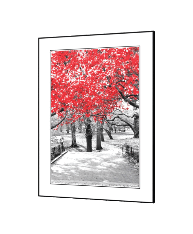 [Red Tree] - Inspirational Wall Decor Item