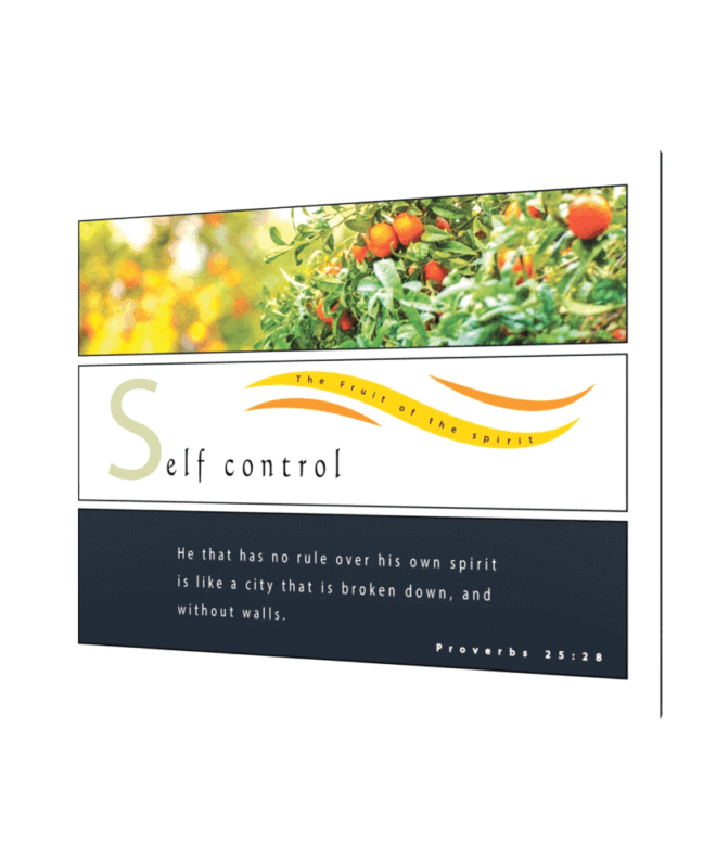 Self Control- Inspirational Wall Decor Item
