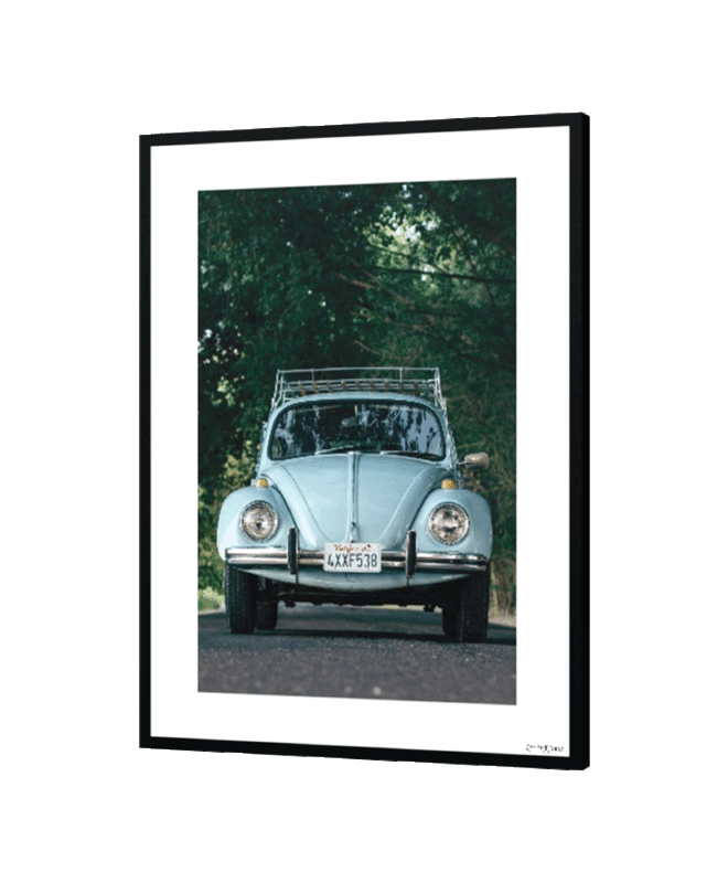 [VOX ] - Inspirational Wall Decor Item