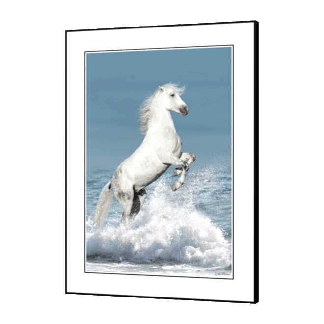 [White Horse] - Inspirational Wall Decor Item