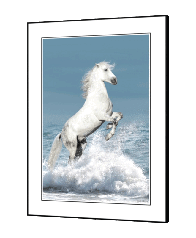 [White Horse] - Inspirational Wall Decor Item