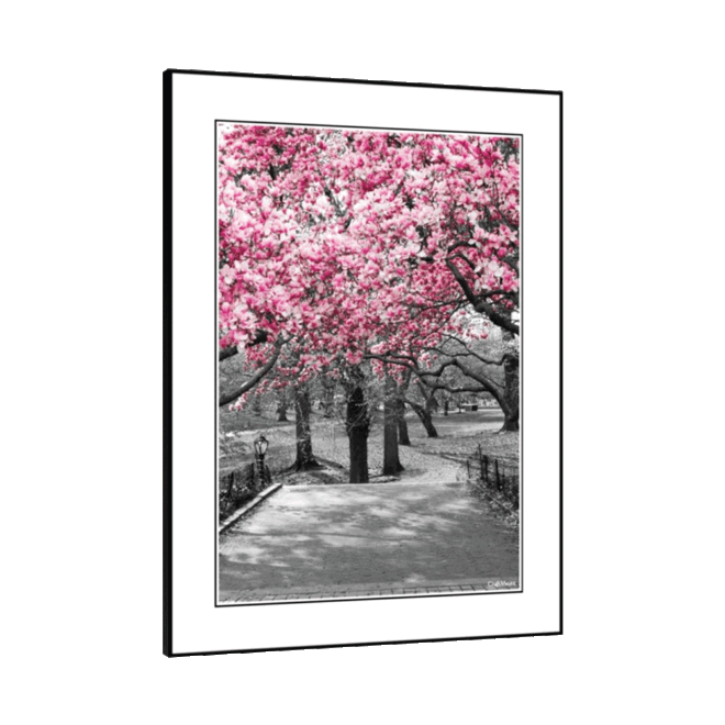 [Pink Tree] - Inspirational Wall Decor Item