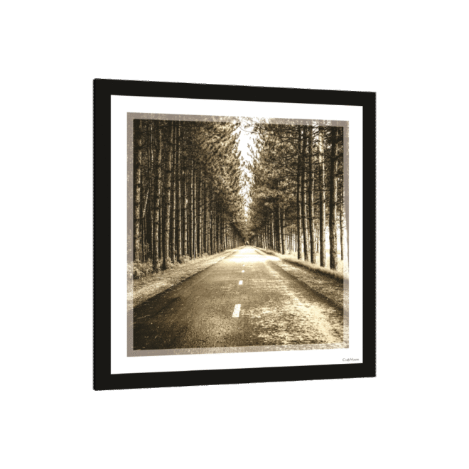 [Tinted pathway] Inspirational Wall Decor Item