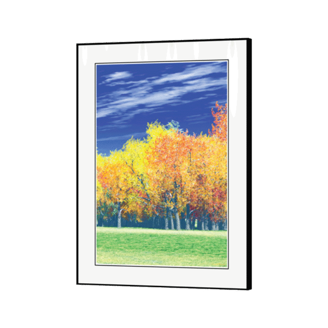 [Yellow Tree] - Inspirational Wall Decor Item